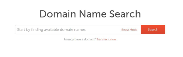 Domain name search