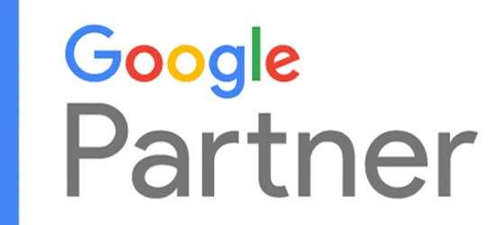 Google Partner logo with a blue vertical stripe on the left side.