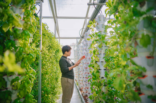 Web Development Success for Environmental Control Solutions in Singapore