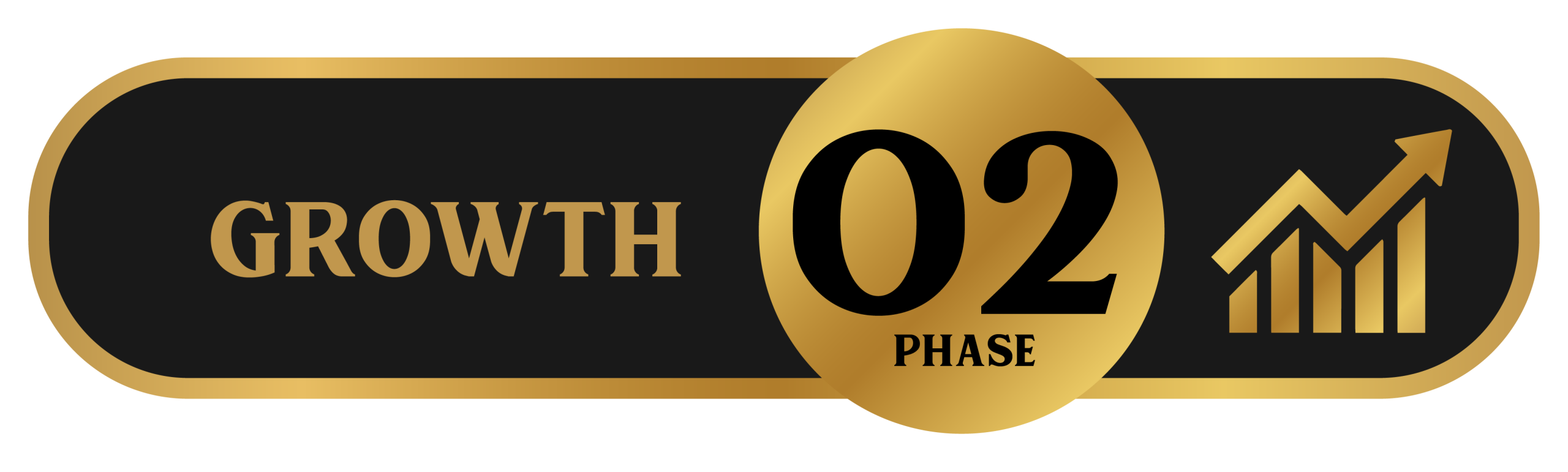 Phase 2: Depth & Growth