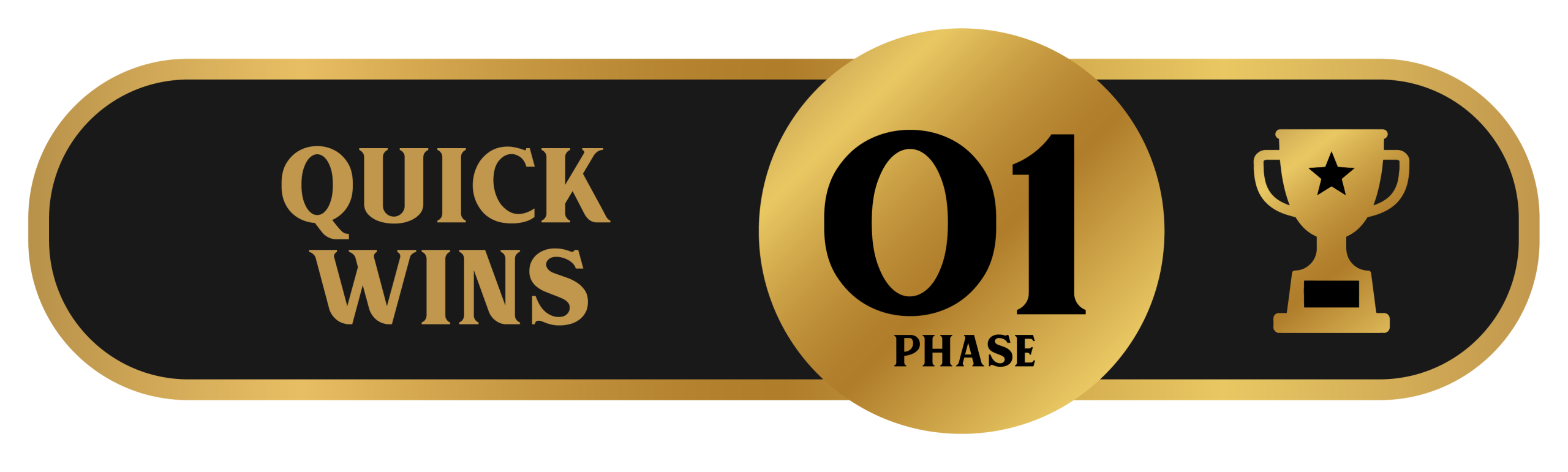 Phase 1: Quick Wins (30-60 Days)