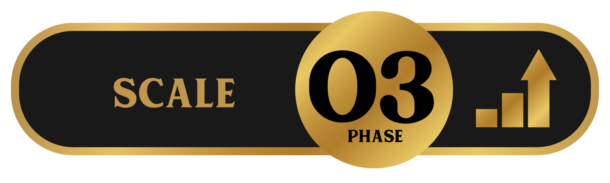 Phase 3: Scale, Repeat, Retain